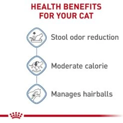 Royal Canin Feline Health Nutrition Indoor Adult Dry Cat Food 15 Royal Canin Feline Health Nutrition Indoor Adult Dry Cat Food -PurePet Bites Shop 48674 PT4. AC SS1800 V1697757760