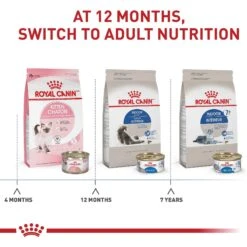 Royal Canin Feline Health Nutrition Indoor Adult Dry Cat Food 17 Royal Canin Feline Health Nutrition Indoor Adult Dry Cat Food -PurePet Bites Shop 48674 PT6. AC SS1800 V1697754630