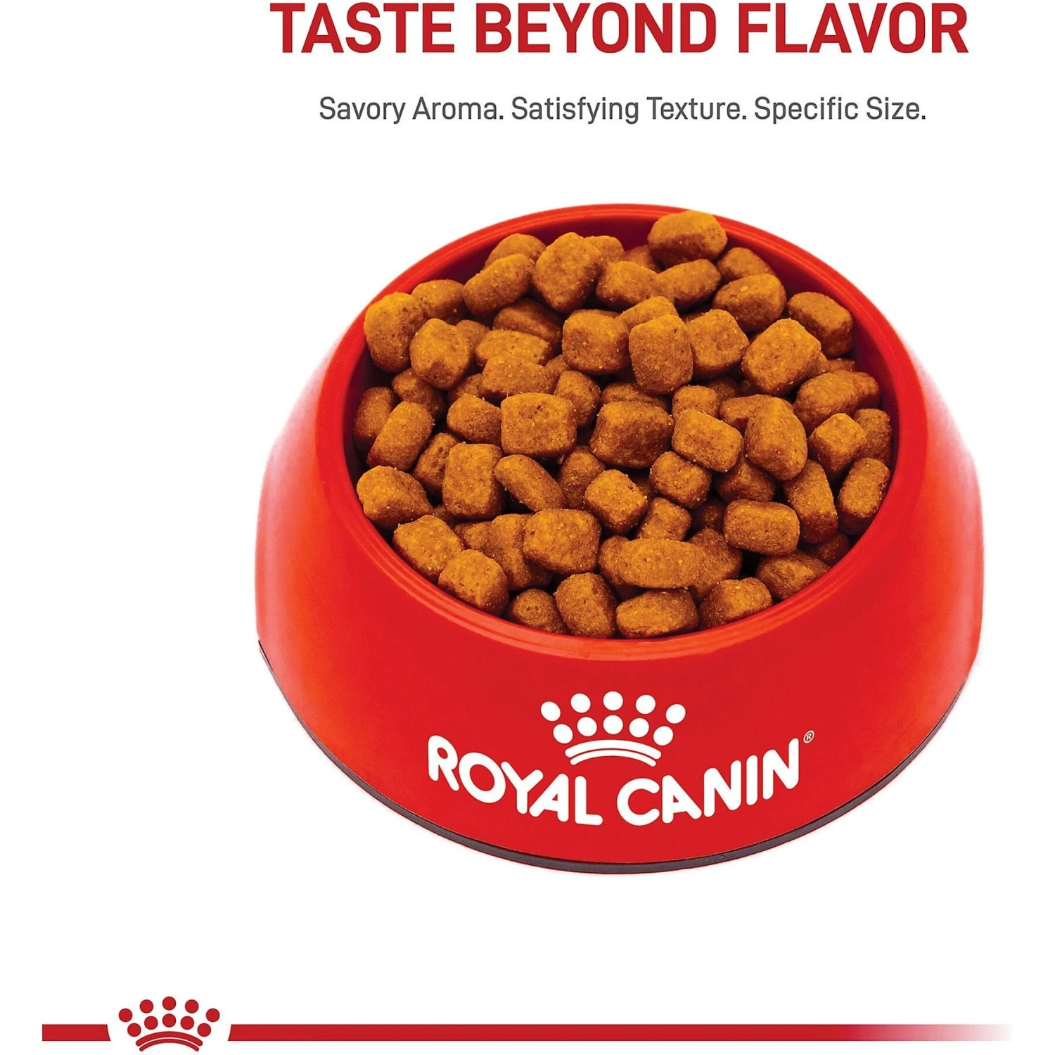 Royal Canin Feline Care Nutrition Dental Care Dry Cat Food 4 Royal Canin Feline Care Nutrition Dental Care Dry Cat Food - Image 2
