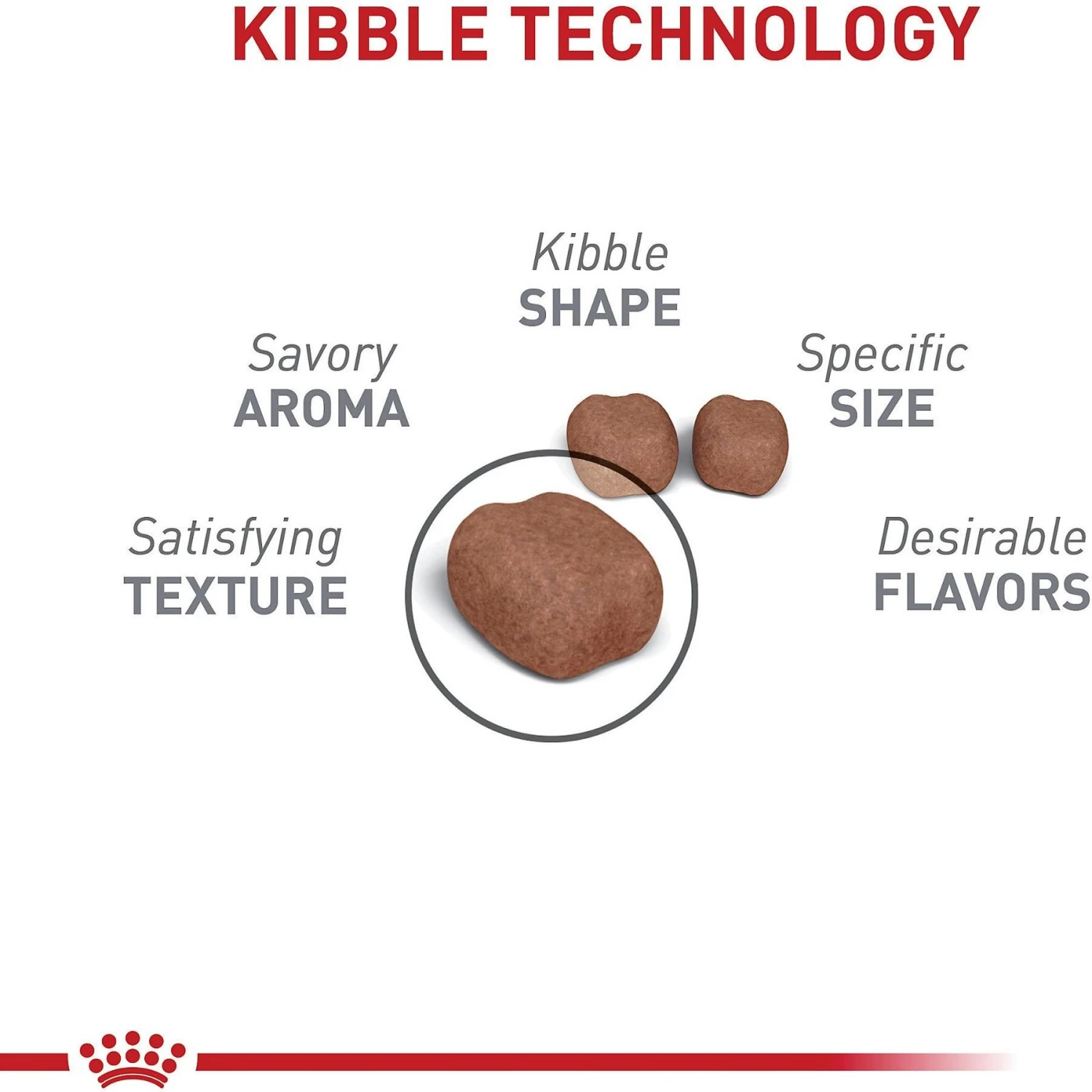 Royal Canin Feline Care Nutrition Dental Care Dry Cat Food 6 Royal Canin Feline Care Nutrition Dental Care Dry Cat Food - Image 4