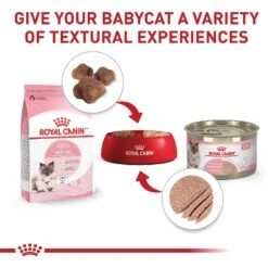 Royal Canin Feline Health Nutrition Mother & Babycat Ultra Soft Mousse In Sauce Canned Cat Food -PurePet Bites Shop 48732 PT4. AC SS1800 V1695054084
