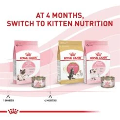 Royal Canin Feline Health Nutrition Mother & Babycat Ultra Soft Mousse In Sauce Canned Cat Food -PurePet Bites Shop 48732 PT5. AC SS1800 V1695054506