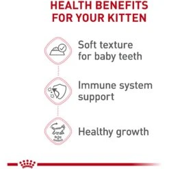 Royal Canin Feline Health Nutrition Thin Slices In Gravy Wet Kitten Food -PurePet Bites Shop 48733 PT2. AC SS1800 V1702071405