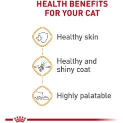 Royal Canin Feline Care Nutrition Hair & Skin Care Thin Slices In Gravy Canned Cat Food, 3-oz, Case Of 24 -PurePet Bites Shop 48737 PT3. AC SS1800 V1697758536