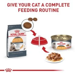 Royal Canin Feline Care Nutrition Hair & Skin Care Thin Slices In Gravy Canned Cat Food, 3-oz, Case Of 24 -PurePet Bites Shop 48737 PT5. AC SS1800 V1697753707