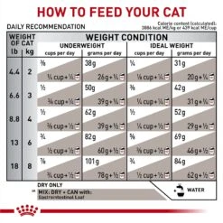 Royal Canin Veterinary Diet Adult Gastrointestinal Dry Cat Food -PurePet Bites Shop 48752 PT8. AC SS1800 V1691702812