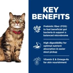 Hill's Science Diet Adult Sensitive Stomach & Sensitive Skin Chicken & Rice Recipe Dry Cat Food -PurePet Bites Shop 48888 PT5. AC SS1800 V1617660461