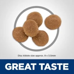 Hill's Science Diet Adult Sensitive Stomach & Sensitive Skin Chicken & Rice Recipe Dry Cat Food -PurePet Bites Shop 48888 PT6. AC SS1800 V1617659538