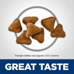 Hill's Science Diet Adult Indoor Chicken Recipe Dry Cat Food -PurePet Bites Shop 48899 PT6. AC SS1800 V1598156477