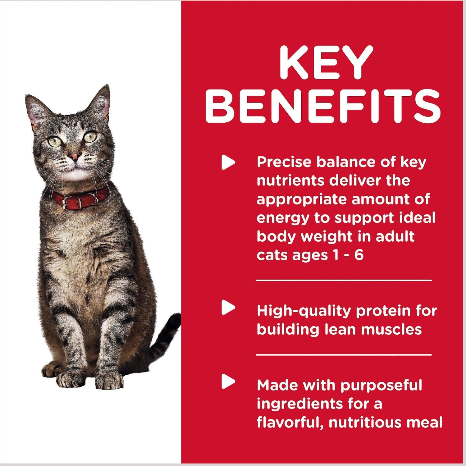 Hill's Science Diet Adult Savory Turkey Entree Canned Cat Food 6 Hill's Science Diet Adult Savory Turkey Entree Canned Cat Food - Image 4