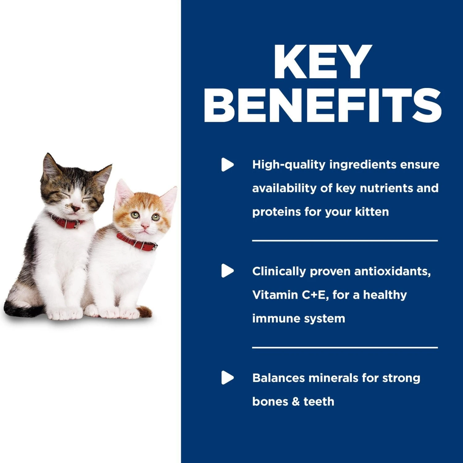 Hill's Science Diet Kitten Savory Turkey Entree Canned Cat Food 6 Hill's Science Diet Kitten Savory Turkey Entree Canned Cat Food - Image 4