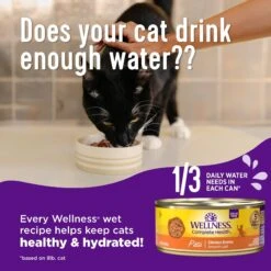 Wellness Complete Health Adult Beef & Chicken Formula Grain-Free Canned Cat Food -PurePet Bites Shop 49257 PT3. AC SS1800 V1594838177