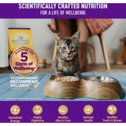 Wellness Complete Health Adult Beef & Chicken Formula Grain-Free Canned Cat Food -PurePet Bites Shop 49257 PT4. AC SS1800 V1594848053
