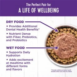 Wellness Complete Health Chicken & Lobster Formula Canned Cat Food -PurePet Bites Shop 49267 PT5. AC SS1800 V1594912572