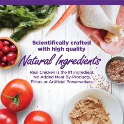 Wellness Complete Health Kitten Chicken Entree Recipe Natural Canned Cat Food -PurePet Bites Shop 49274 PT2. AC SS1800 V1690899634