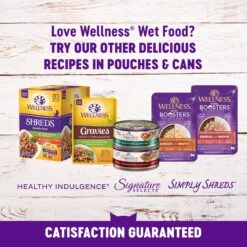 Wellness Complete Health Kitten Chicken Entree Recipe Natural Canned Cat Food -PurePet Bites Shop 49274 PT7. AC SS1800 V1690904768