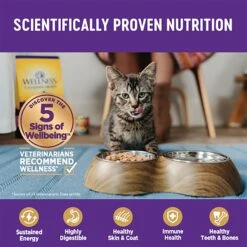 Wellness Complete Health Turkey & Salmon Formula Grain-Free Natural Canned Cat Food 13 Wellness Complete Health Turkey & Salmon Formula Grain-Free Natural Canned Cat Food -PurePet Bites Shop 49282 PT4. AC SS1800 V1594838178