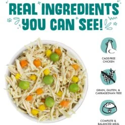 Weruva Funky Chunky Chicken Soup With Pumpkin Grain-Free Canned Cat Food -PurePet Bites Shop 49297 PT2. AC SS1800 V1643073100