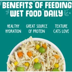 Weruva Funky Chunky Chicken Soup With Pumpkin Grain-Free Canned Cat Food -PurePet Bites Shop 49297 PT5. AC SS1800 V1643067419