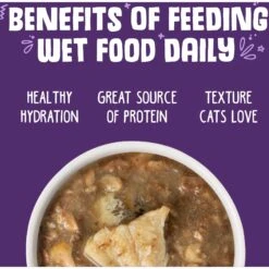 Weruva Polynesian BBQ With Grilled Red Bigeye Grain-Free Canned Cat Food -PurePet Bites Shop 49323 PT5. AC SS1800 V1643073392