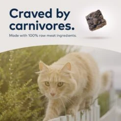 ZIWI Peak Air-Dried Venison Recipe Cat Food -PurePet Bites Shop 49383 PT6. AC SS1800 V1703276504