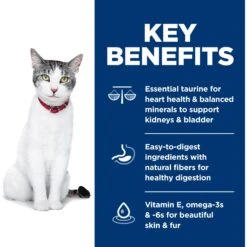 Hill's Science Diet Adult 11+ Chicken Recipe Dry Cat Food -PurePet Bites Shop 49534 PT3. AC SS1800 V1598148073