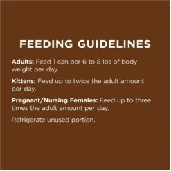 Instinct Original Grain-Free Pate Real Rabbit Recipe Wet Canned Cat Food -PurePet Bites Shop 49694 PT8. AC SS1800 V1668200380