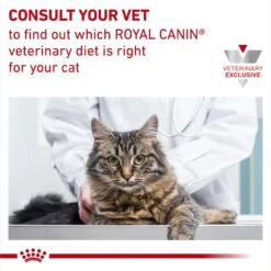 Royal Canin Veterinary Diet Adult Selected Protein PD Dry Cat Food -PurePet Bites Shop 49972 PT8. AC SS1800 V1692389738