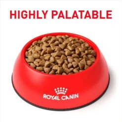 Royal Canin Veterinary Diet Adult Selected Protein PR Dry Cat Food 13 Royal Canin Veterinary Diet Adult Selected Protein PR Dry Cat Food -PurePet Bites Shop 49984 PT2. AC SS1800 V1692389679