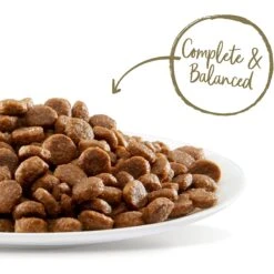 Applaws Adult Complete Whitefish Recipe With Country Vegetables Grain-Free Dry Cat Food & Applaws Tuna Loin Grain-Free Cat Treats, 1.06-oz Loin, Case Of 12 -PurePet Bites Shop 502938 PT2. AC SS1800 V1648477886