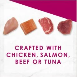 Applaws Adult Complete Chicken Recipe With Country Vegetables Grain-Free Dry Cat Food & Fancy Feast Savory Centers Variety Pack Canned Cat Food -PurePet Bites Shop 502974 PT7. AC SS1800 V1648476085