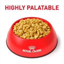 Royal Canin Veterinary Diet Adult Hydrolyzed Protein Dry Cat Food -PurePet Bites Shop 50317 PT2. AC SS1800 V1693317637