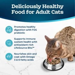 Blue Buffalo Tastefuls Sensitive Stomach Natural Chicken Adult Dry Cat Food -PurePet Bites Shop 50765 PT3. AC SS1800 V1692642080