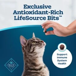 Blue Buffalo Tastefuls Sensitive Stomach Natural Chicken Adult Dry Cat Food -PurePet Bites Shop 50765 PT6. AC SS1800 V1692646074