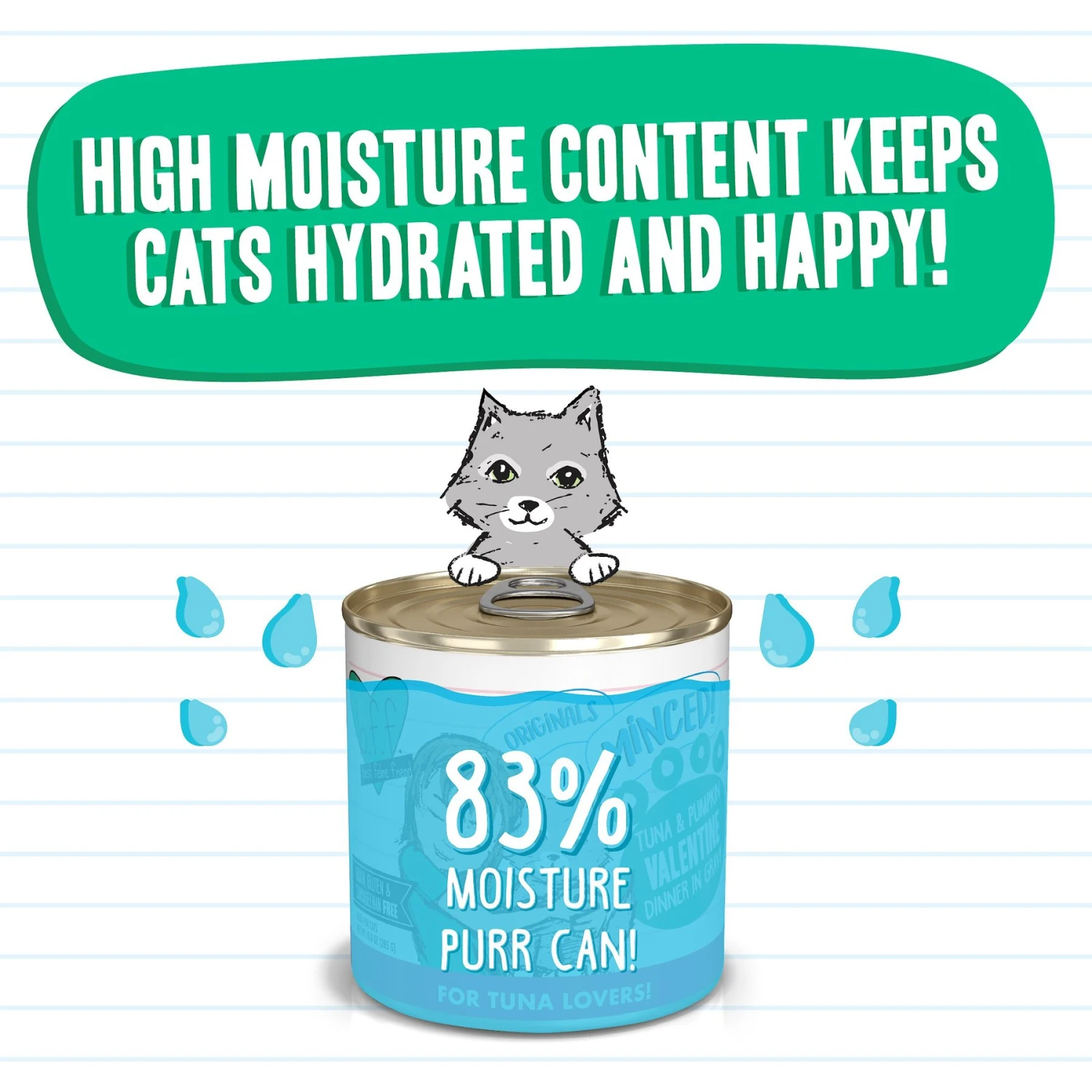 BFF Tuna & Pumpkin Valentine Dinner In Gravy Canned Cat Food 6 BFF Tuna & Pumpkin Valentine Dinner In Gravy Canned Cat Food - Image 4