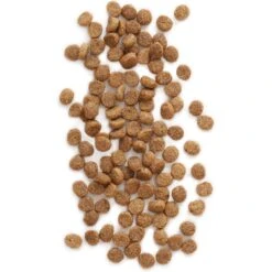 Earthborn Holistic Feline Vantage Natural Dry Cat & Kitten Food -PurePet Bites Shop 51269 PT6. AC SS1800 V1489521230