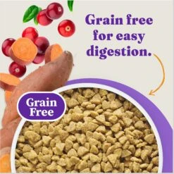 Halo Holistic Indoor Chicken Recipe Complete Digestive Health & Healthy Weight Support Adult Grain-Free Cage-Free Dry Cat Food -PurePet Bites Shop 51454 PT4. AC SS1800 V1676299350