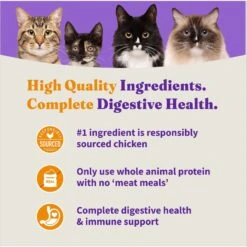 Halo Holistic Indoor Chicken Recipe Complete Digestive Health & Healthy Weight Support Adult Grain-Free Cage-Free Dry Cat Food -PurePet Bites Shop 51454 PT5. AC SS1800 V1676299411