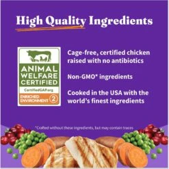 Halo Holistic Indoor Chicken Recipe Complete Digestive Health & Healthy Weight Support Adult Grain-Free Cage-Free Dry Cat Food -PurePet Bites Shop 51454 PT6. AC SS1800 V1676299414