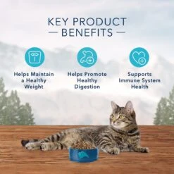 Blue Buffalo Wilderness Weight Control Chicken Recipe Grain-Free Dry Cat Food -PurePet Bites Shop 51552 PT3. AC SS1800 V1570660704