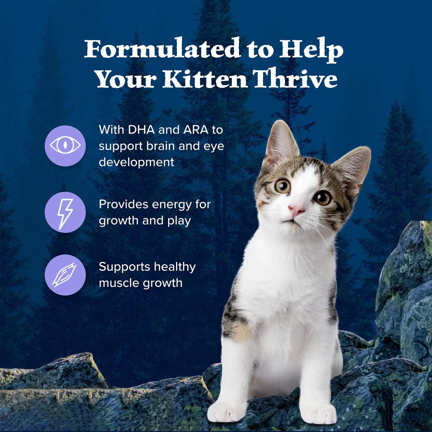 Blue Buffalo Wilderness High Protein Natural Grain-Free Chicken Kitten Dry Cat Food 6 Blue Buffalo Wilderness High Protein Natural Grain-Free Chicken Kitten Dry Cat Food - Image 4