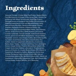 Blue Buffalo Wilderness High Protein Natural Grain-Free Chicken Kitten Dry Cat Food 13 Blue Buffalo Wilderness High Protein Natural Grain-Free Chicken Kitten Dry Cat Food -PurePet Bites Shop 51555 PT4. AC SS1800 V1689357580