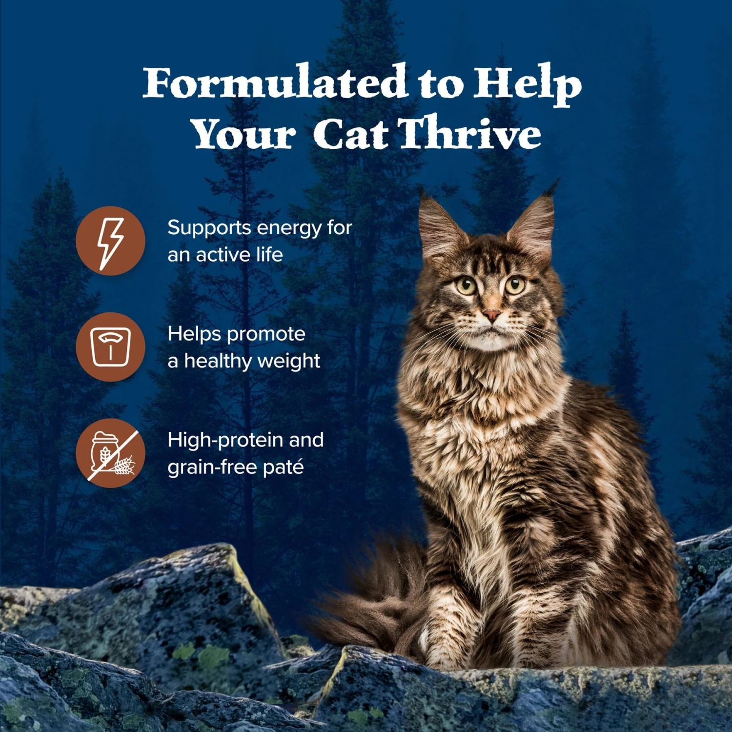 Blue Buffalo Wilderness Turkey Grain-Free Canned Cat Food 6 Blue Buffalo Wilderness Turkey Grain-Free Canned Cat Food - Image 4