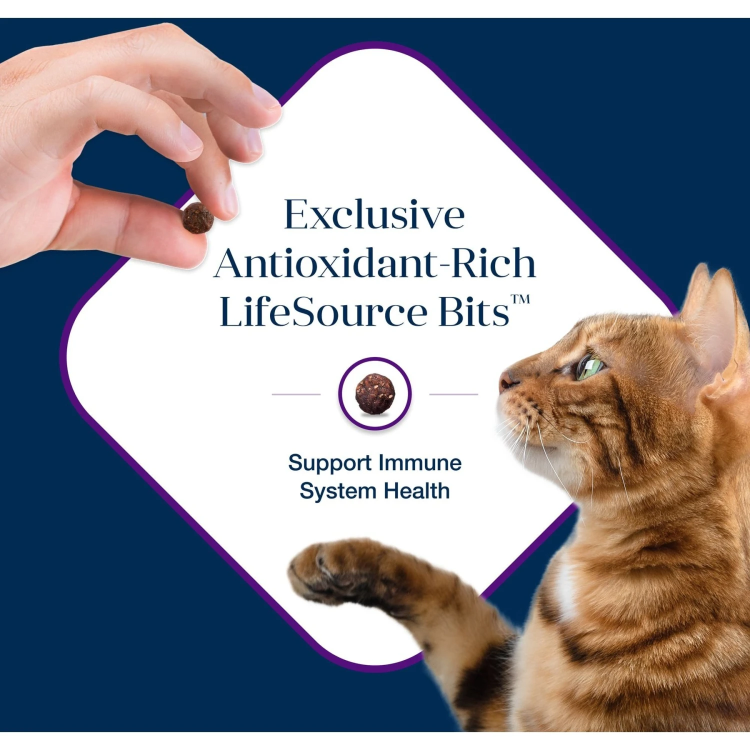 Blue Buffalo Basics Skin & Stomach Care Grain-Free Turkey & Potato Recipe Indoor Adult Dry Cat Food 9 Blue Buffalo Basics Skin & Stomach Care Grain-Free Turkey & Potato Recipe Indoor Adult Dry Cat Food - Image 7