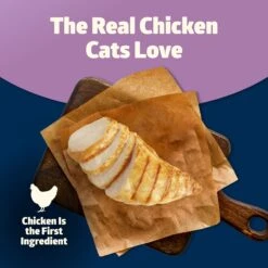 Blue Buffalo Freedom Indoor Adult Chicken Recipe Grain-Free Dry Cat Food 11 Blue Buffalo Freedom Indoor Adult Chicken Recipe Grain-Free Dry Cat Food -PurePet Bites Shop 51730 PT2. AC SS1800 V1649132526