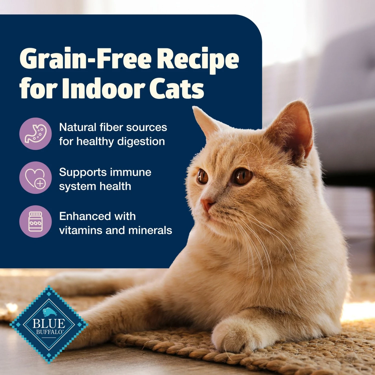 Blue Buffalo Freedom Indoor Adult Chicken Recipe Grain-Free Dry Cat Food 5 Blue Buffalo Freedom Indoor Adult Chicken Recipe Grain-Free Dry Cat Food - Image 3