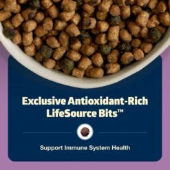 Blue Buffalo Freedom Indoor Adult Chicken Recipe Grain-Free Dry Cat Food 15 Blue Buffalo Freedom Indoor Adult Chicken Recipe Grain-Free Dry Cat Food -PurePet Bites Shop 51730 PT6. AC SS1800 V1649107900