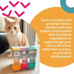 I And Love And You Feed Meow Shine Salmon & Tuna Grain-Free Chunks In Gravy Wet Cat Food, 3-oz Pouch, Case Of 24 11 I And Love And You Feed Meow Shine Salmon & Tuna Grain-Free Chunks In Gravy Wet Cat Food, 3-oz Pouch, Case Of 24 -PurePet Bites Shop 517318 PT2. AC SS1800 V1686941274