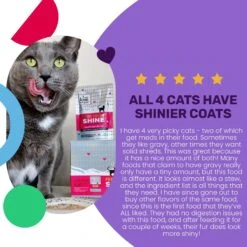 I And Love And You Feed Meow Shine Salmon & Tuna Grain-Free Chunks In Gravy Wet Cat Food, 3-oz Pouch, Case Of 24 12 I And Love And You Feed Meow Shine Salmon & Tuna Grain-Free Chunks In Gravy Wet Cat Food, 3-oz Pouch, Case Of 24 -PurePet Bites Shop 517318 PT3. AC SS1800 V1686941641
