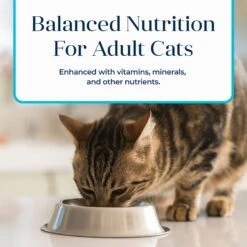 Blue Buffalo Basics Skin & Stomach Care Grain-Free Fish & Potato Entree Indoor Adult Canned Cat Food -PurePet Bites Shop 51733 PT6. AC SS1800 V1646273183